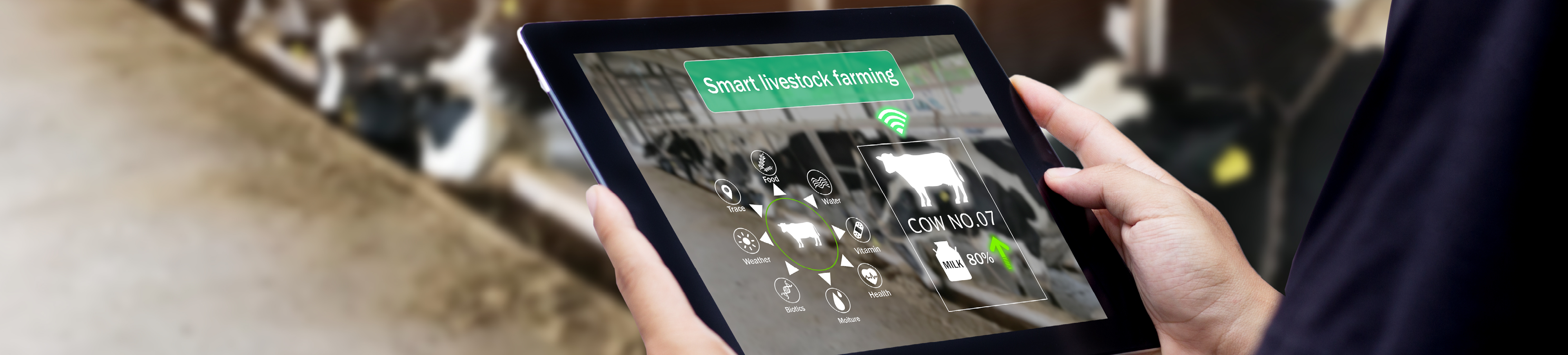 Link2farm banner 1920x435px