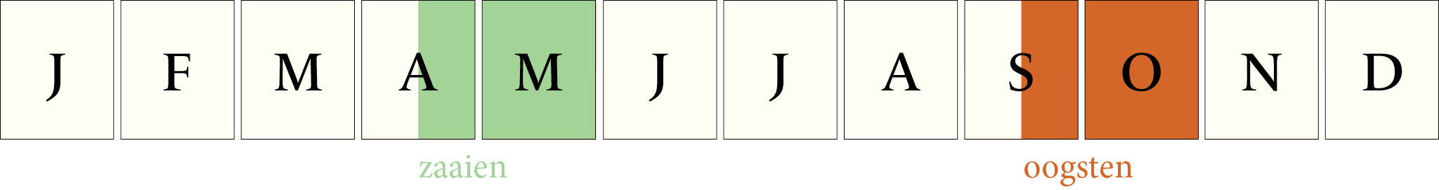 Toepassingsperiode: Pompoen Red Kuri