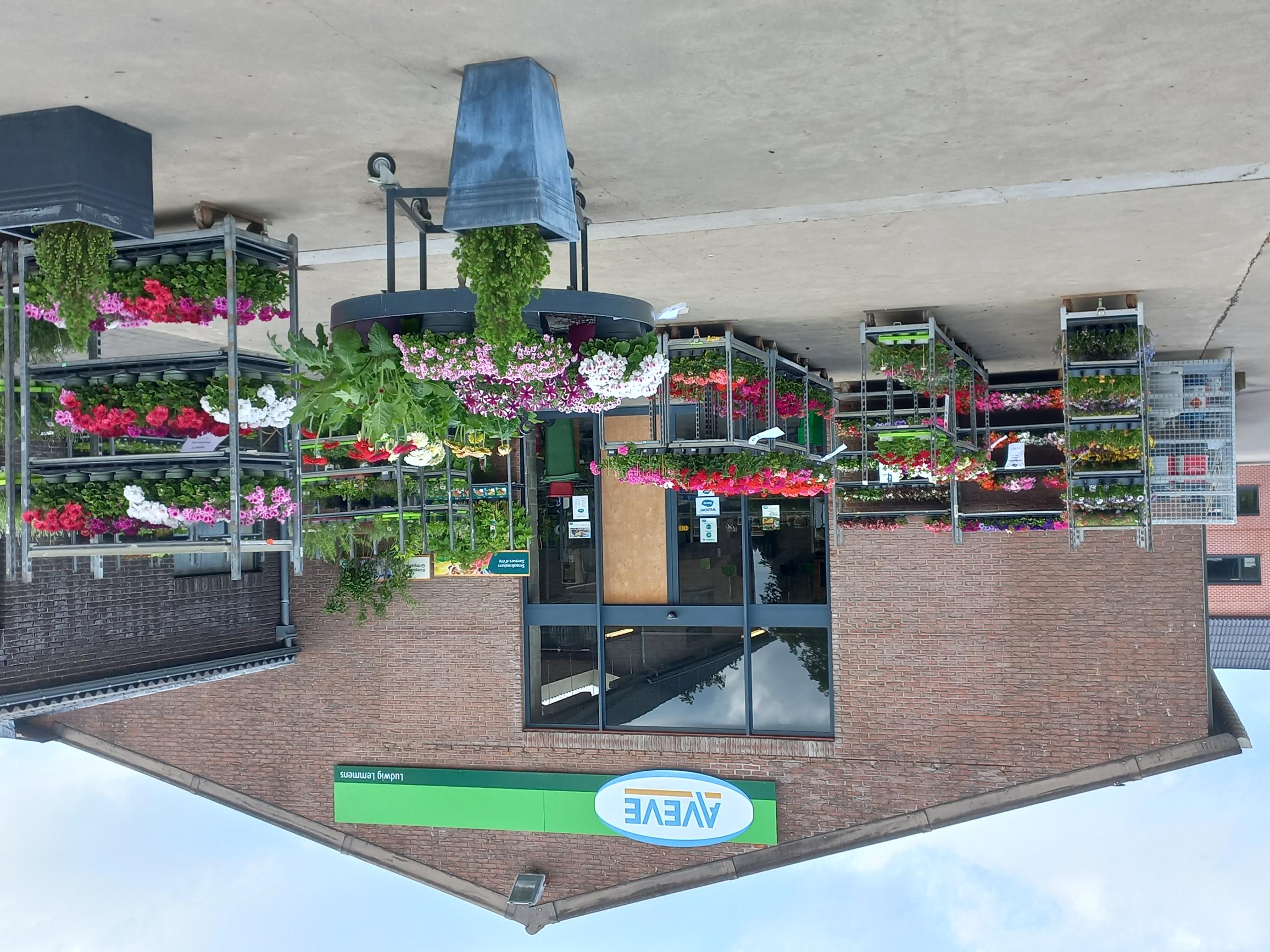 Aveve_winkel_Wijchmaal_outdoor