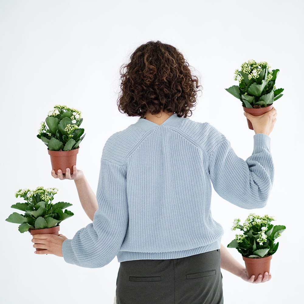 Pourquoi choisir un kalanchoé comme plante d’intérieur ? - Aveve