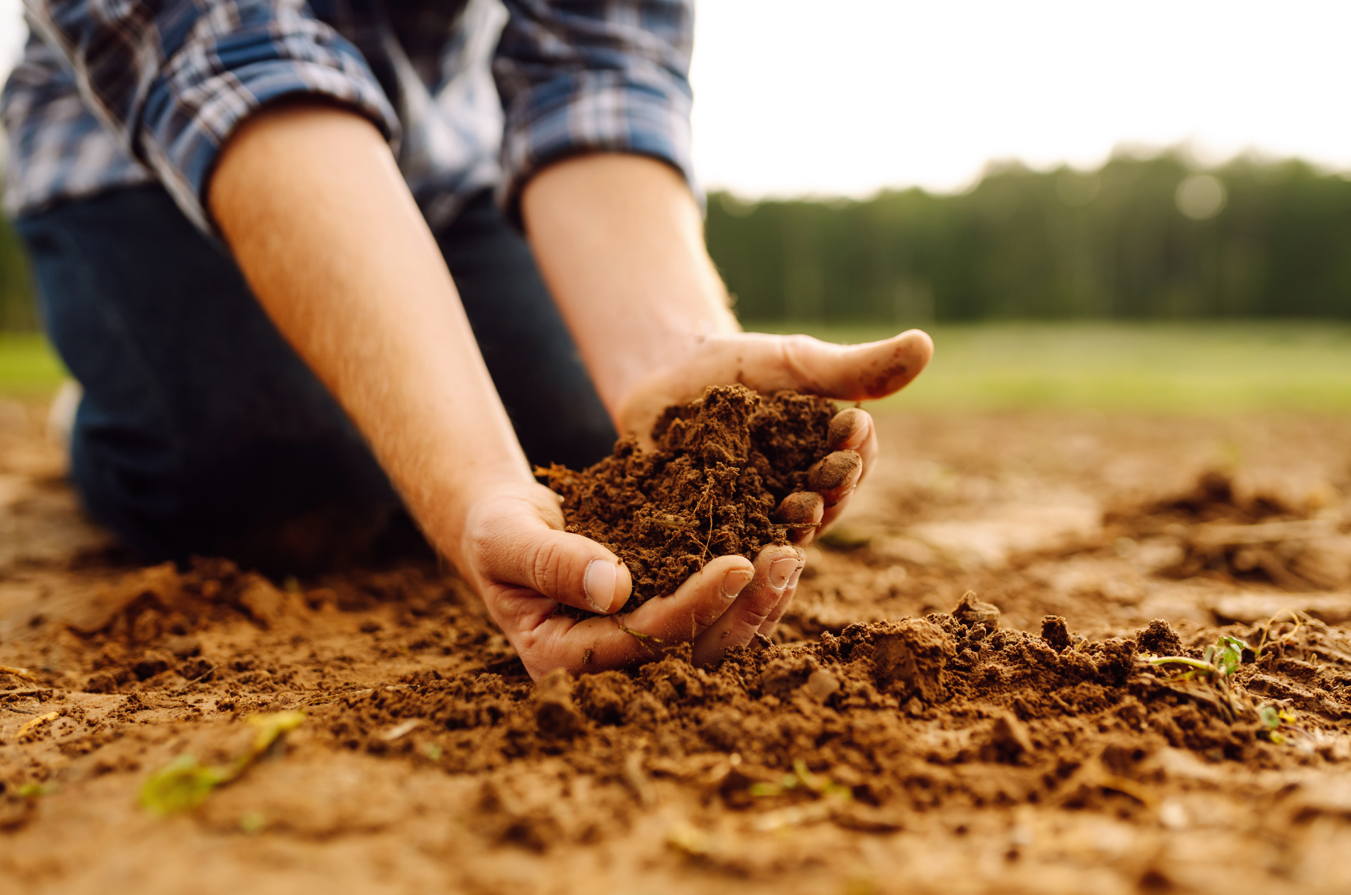 13.03.2026_AH_Nieuwsbrief_Ontdek hoe CEC, Haspargit® en een Eurofinsanalyse je opbrengst versterken 