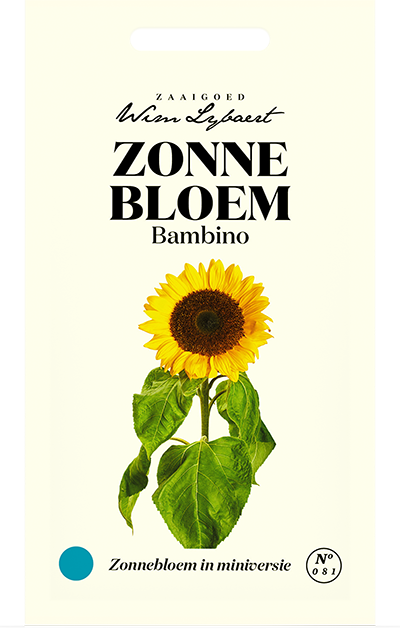 Zonnebloem Bambino