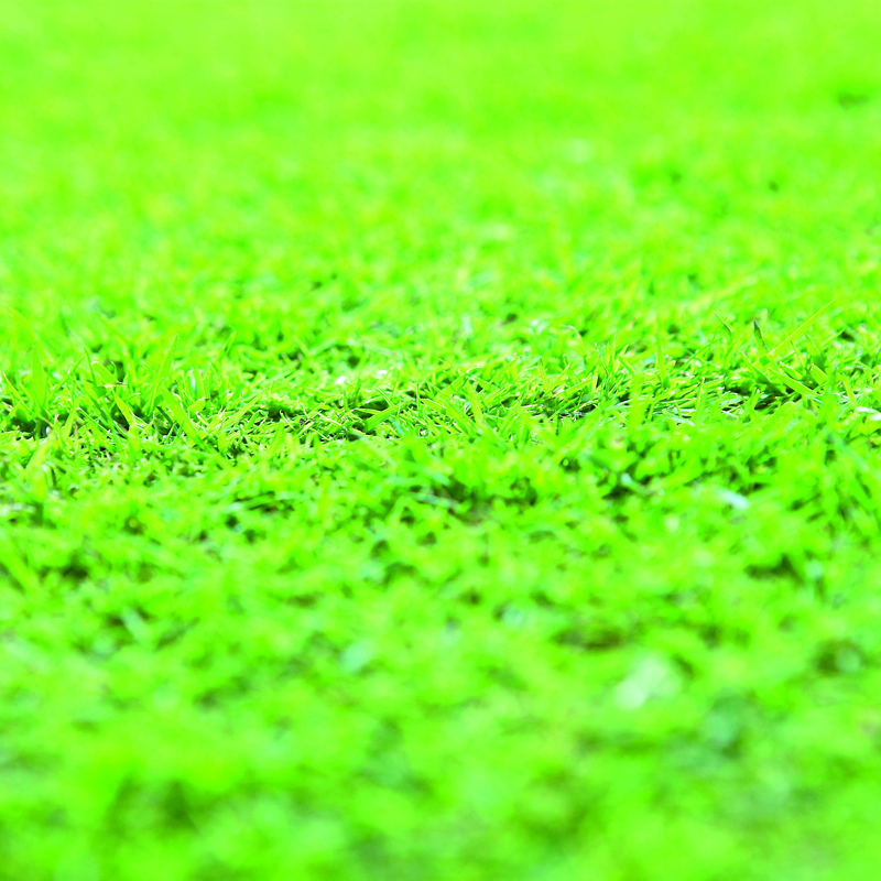 Waarom is kalk belangrijk voor je gazon? - Aveve