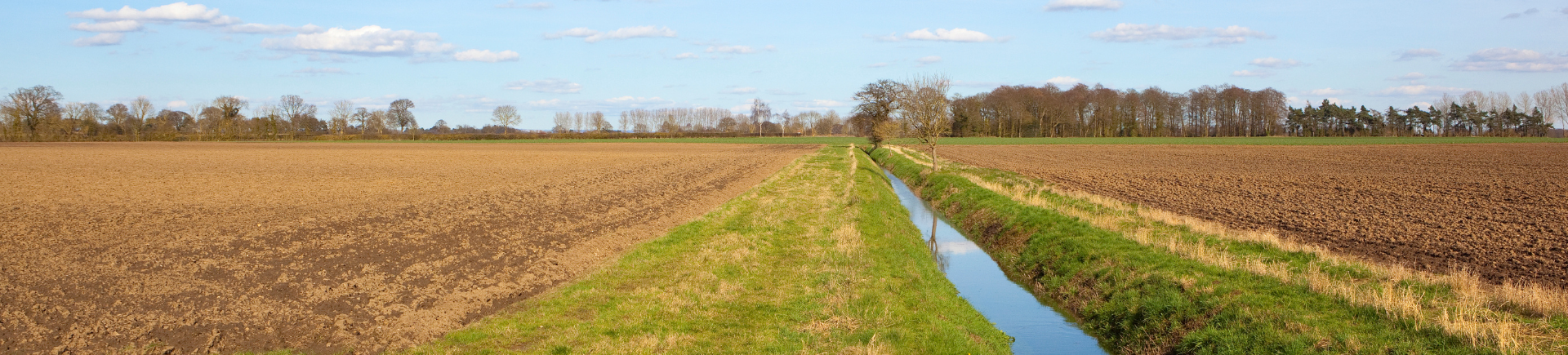 25.02.2026_Nieuwsbrief AH_Beheer van jouw beschermingsstrook 