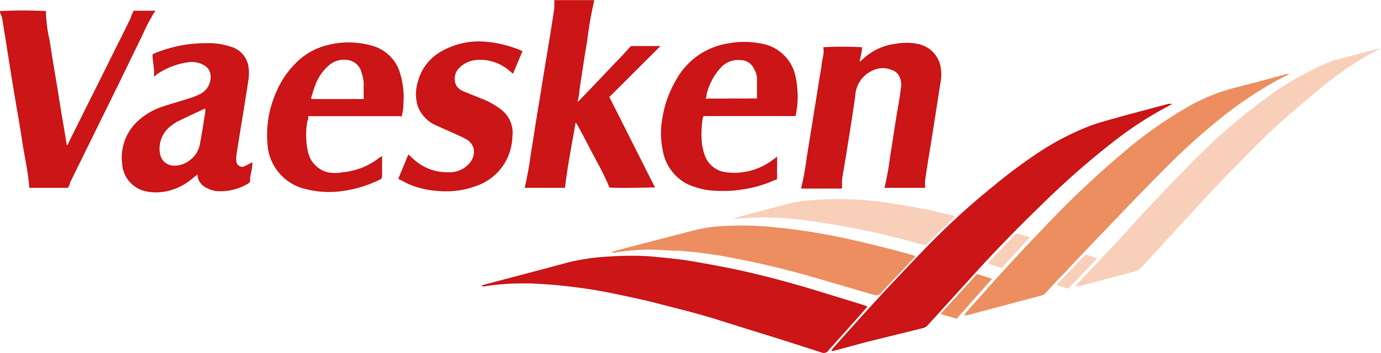 Vaesken logo