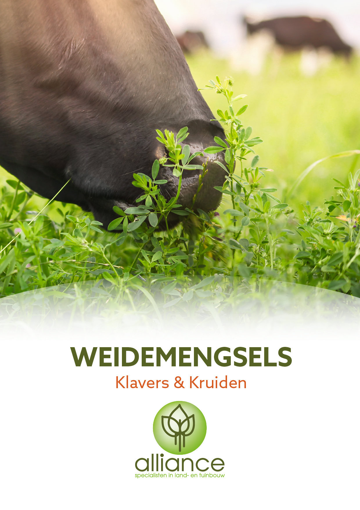 Weidemengselfolder Alliance