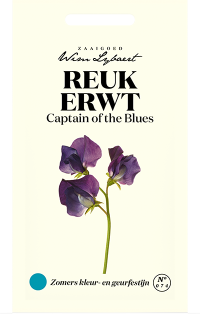 Reukerwt Captain of the Blues