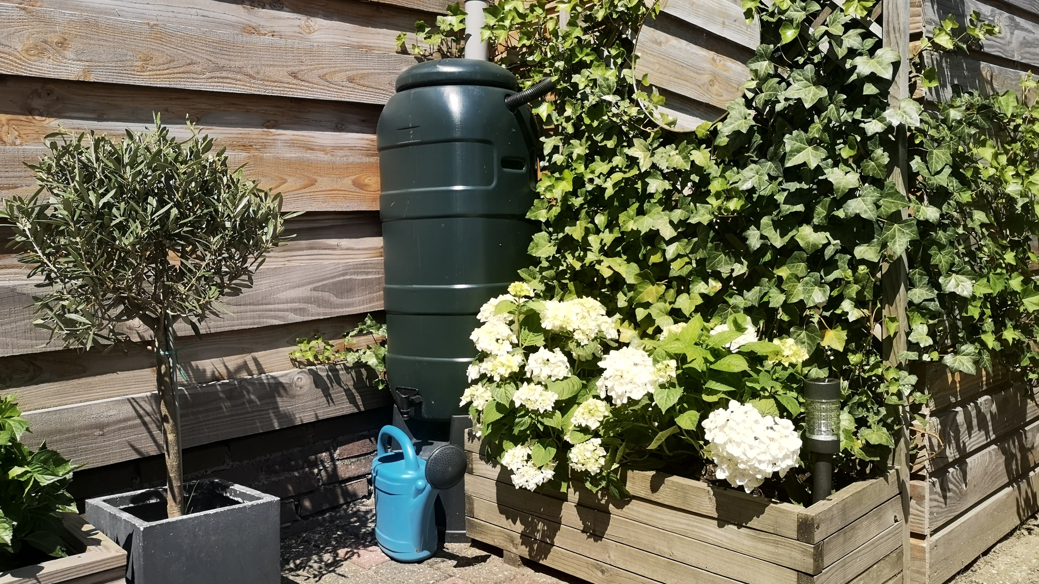 Alles voor je tuin aveve regentonnen