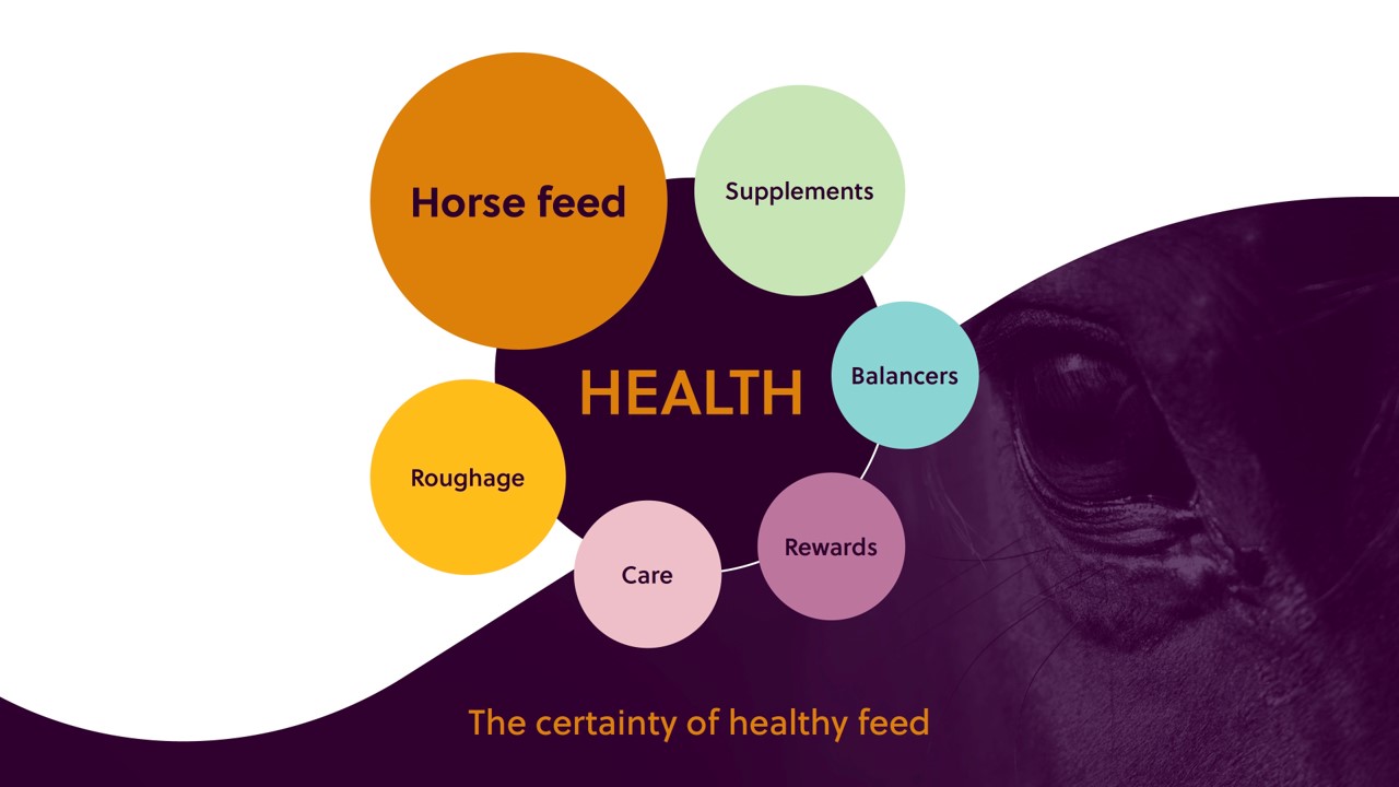 Health concept cirkels