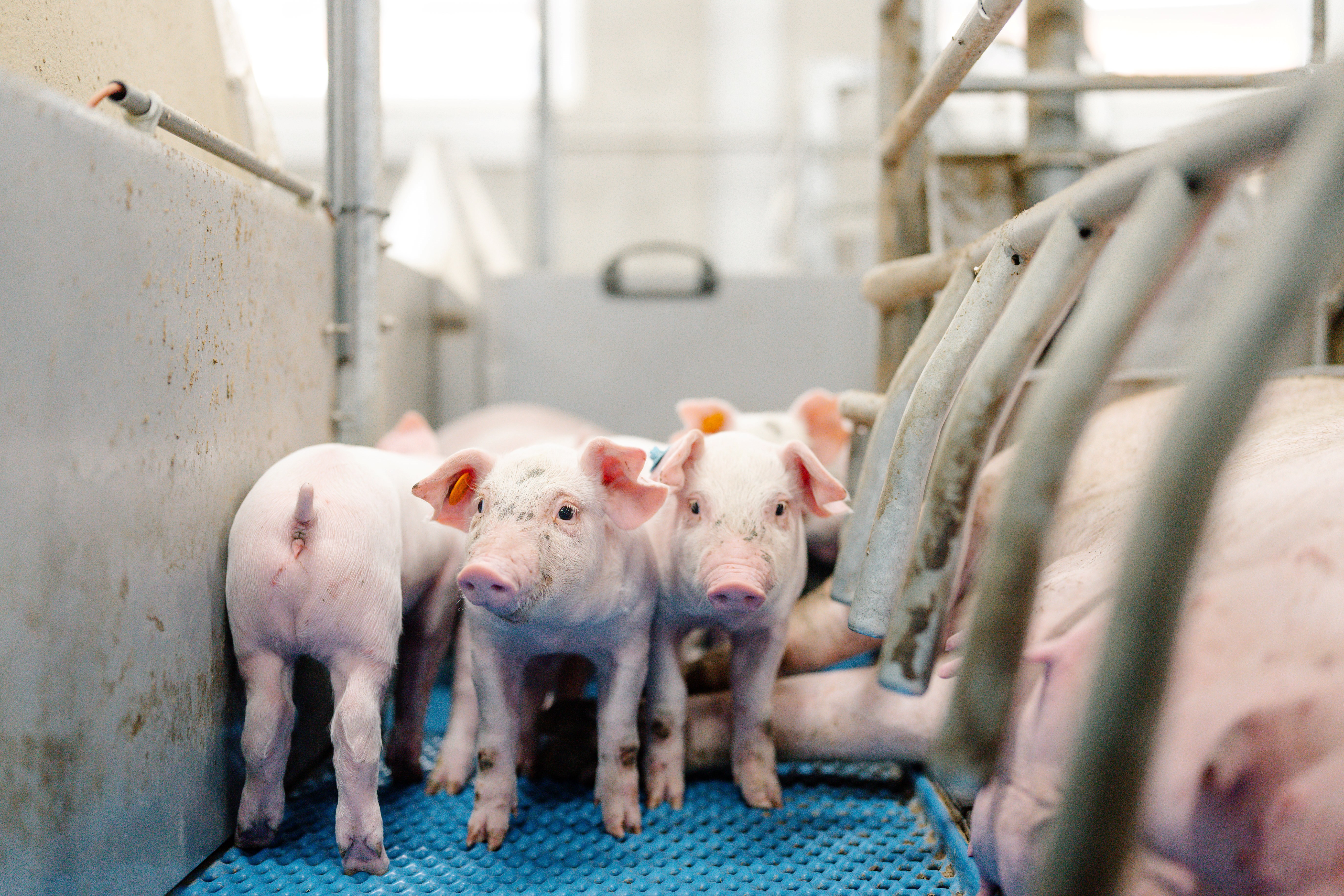 16.09.2025_Nieuwsbrief AN_verlegstrategie