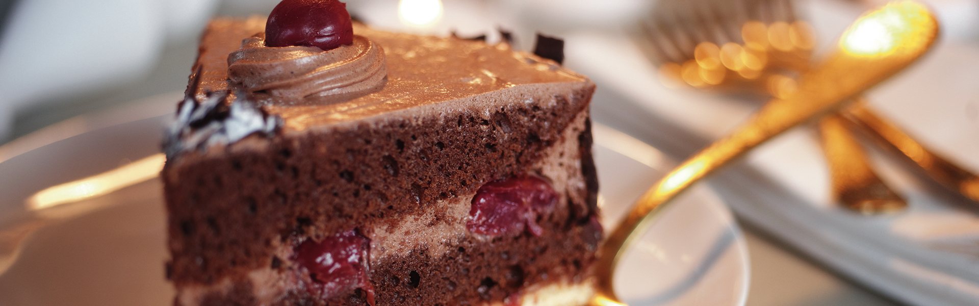 Zwartewoudtaart 11920X600