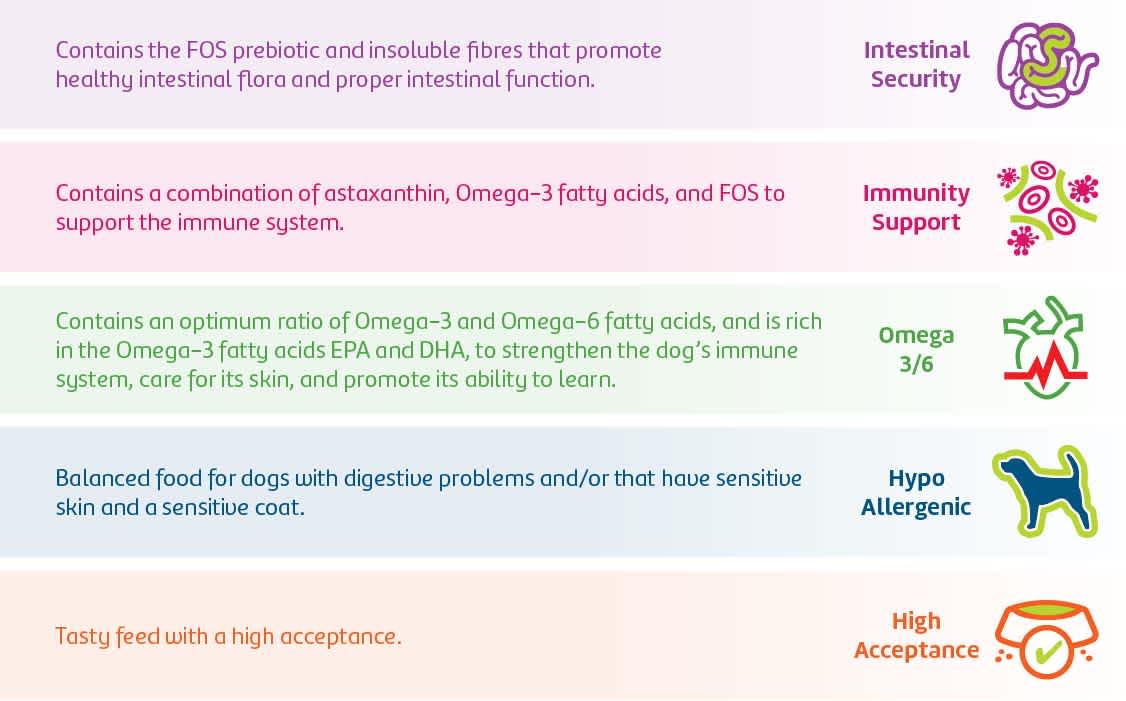 junior hypo allergenic