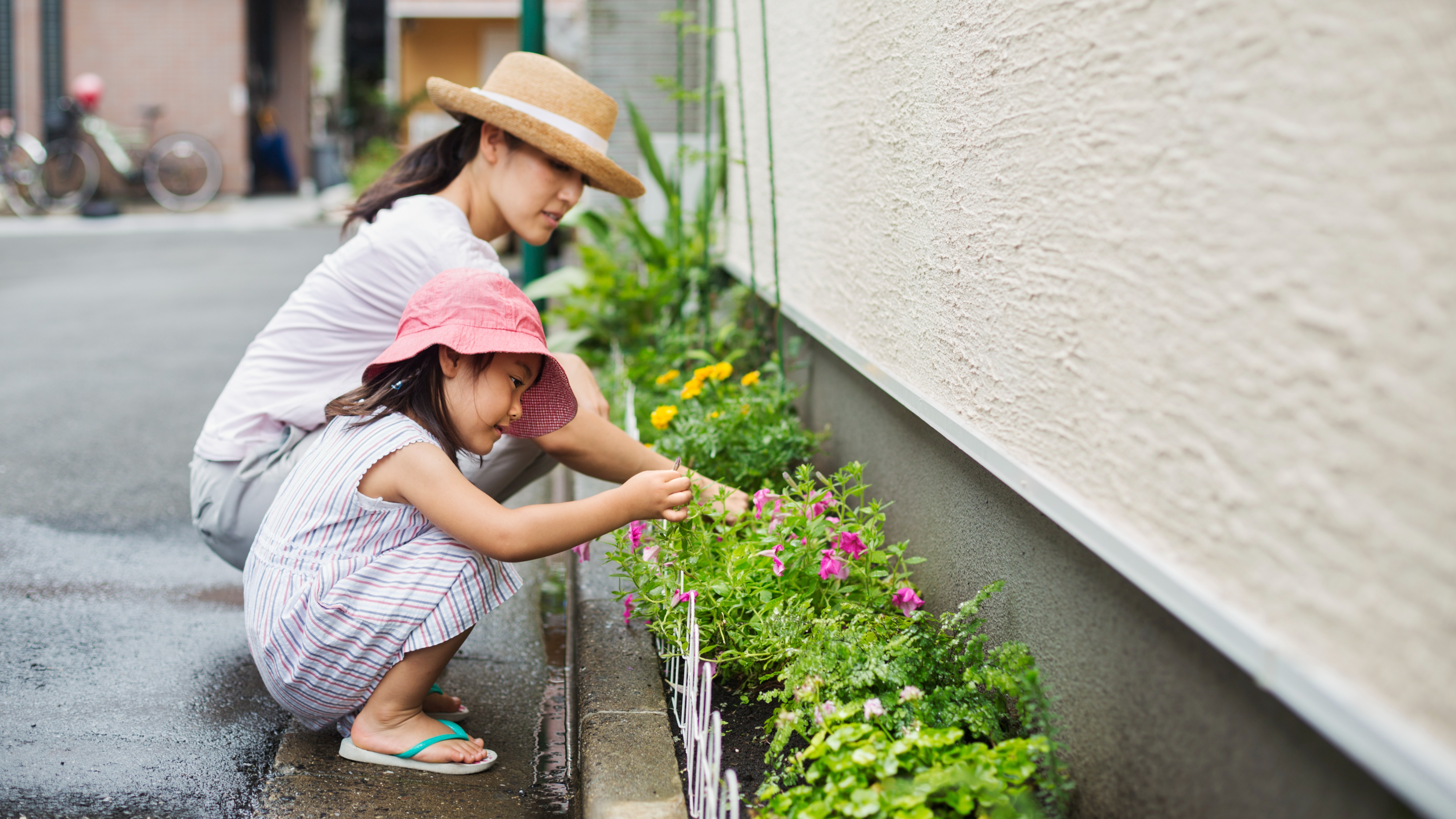 Alles voor je tuin aveve tuininrichting