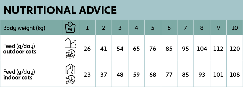 voedingsadvies new feline urinary