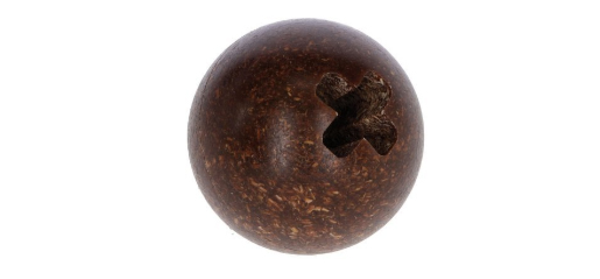 Bijtbal bio 968x450px