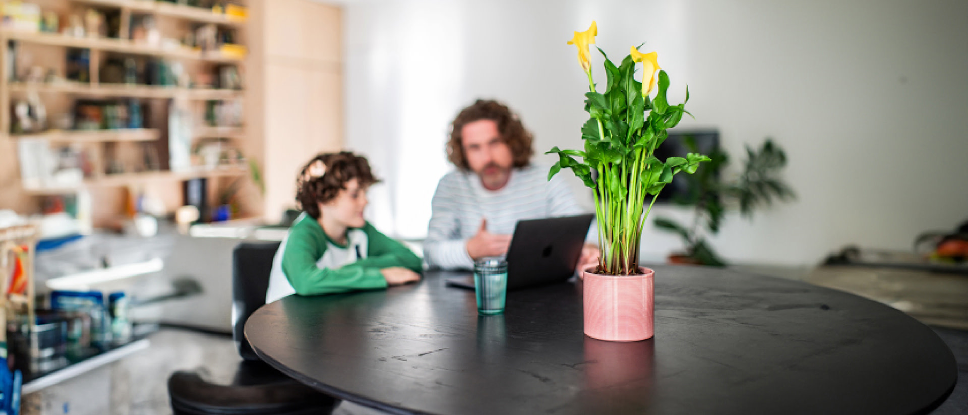 Afbeelding van een aronskelk op een tafel - Aveve