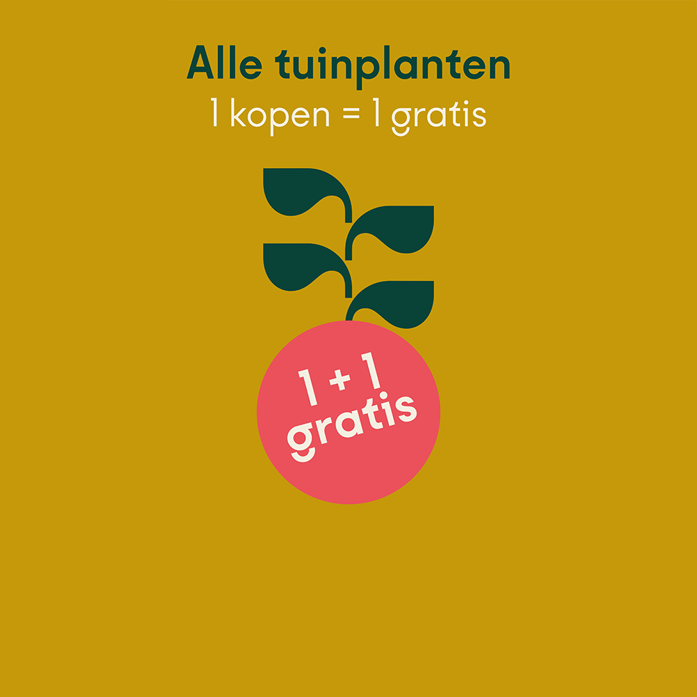 T.e.m. 13/9: 1 + 1 op alle tuinplanten (van dezelfde soort)