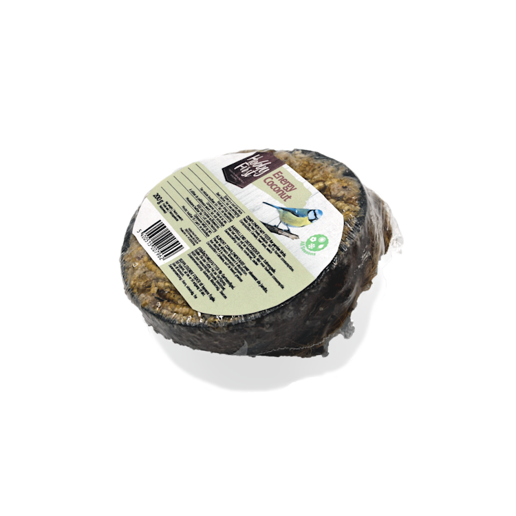 HobbyFirst WildLife Energy Coconut