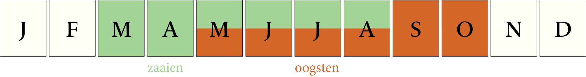 Toepassingsperiode: Koriander