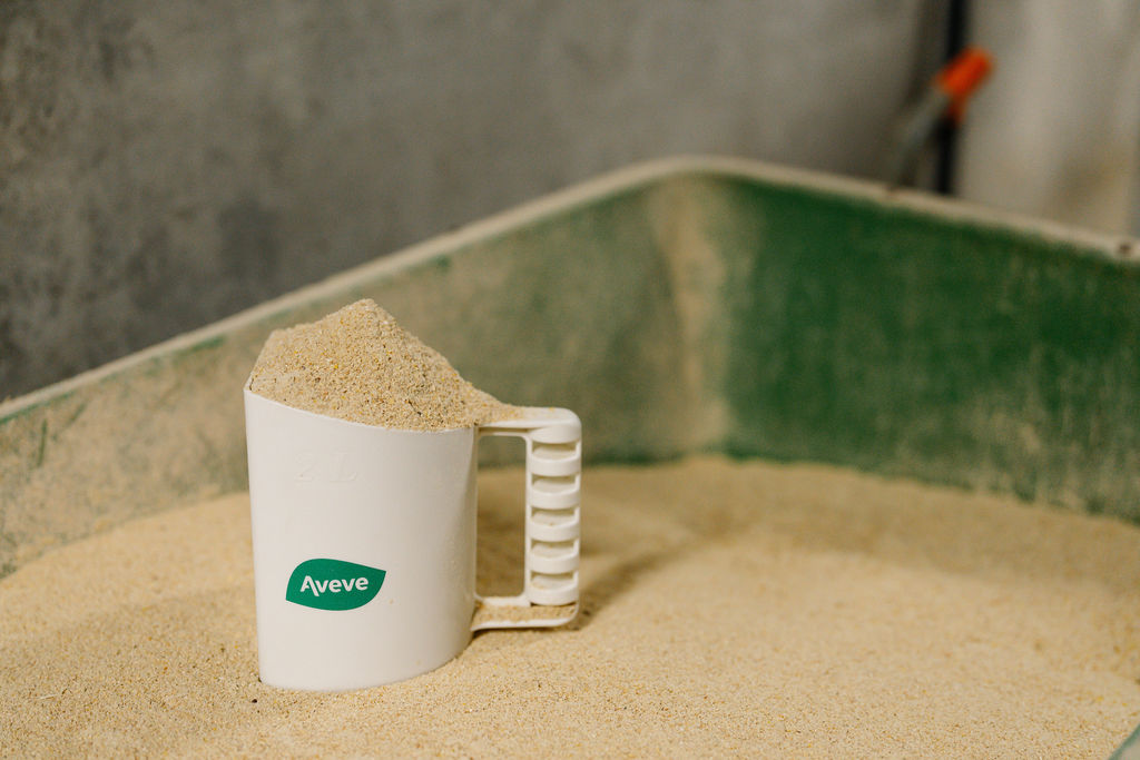 16.12.2025_Nieuwsbrief_AN_Conditieherstel en -opbouw van zeugen