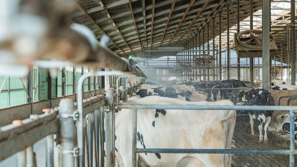 MV_hittestress.be (2)