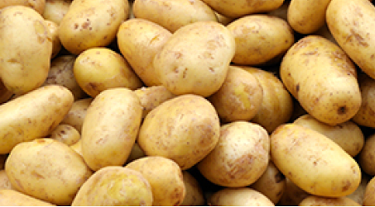 Sanac stockage de pommes de terre 968x536px