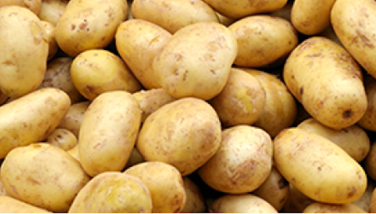 Stockage de pommes de terre