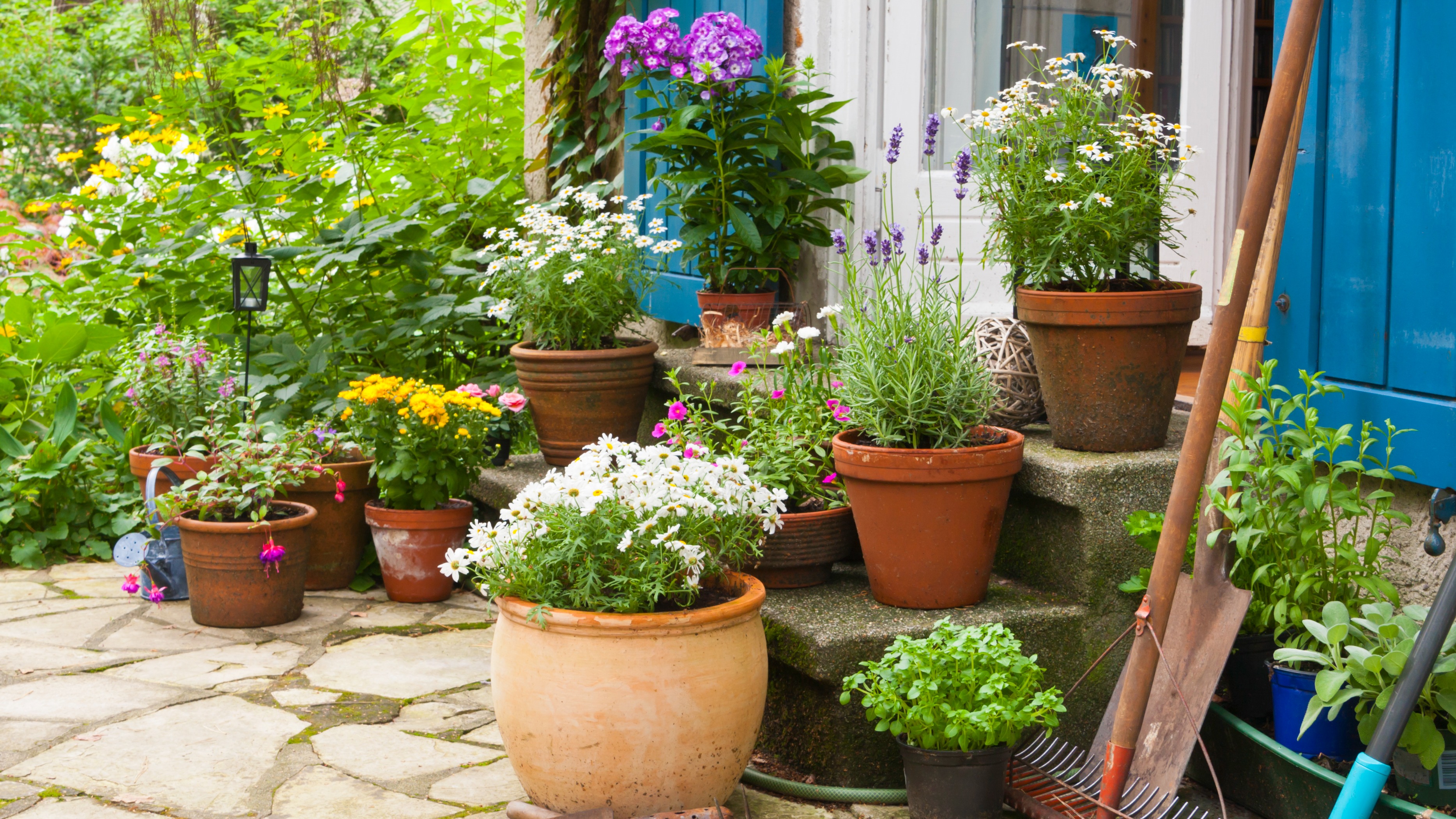 Terrasses et jardinières  Plante artificielle exterieur, Jardins