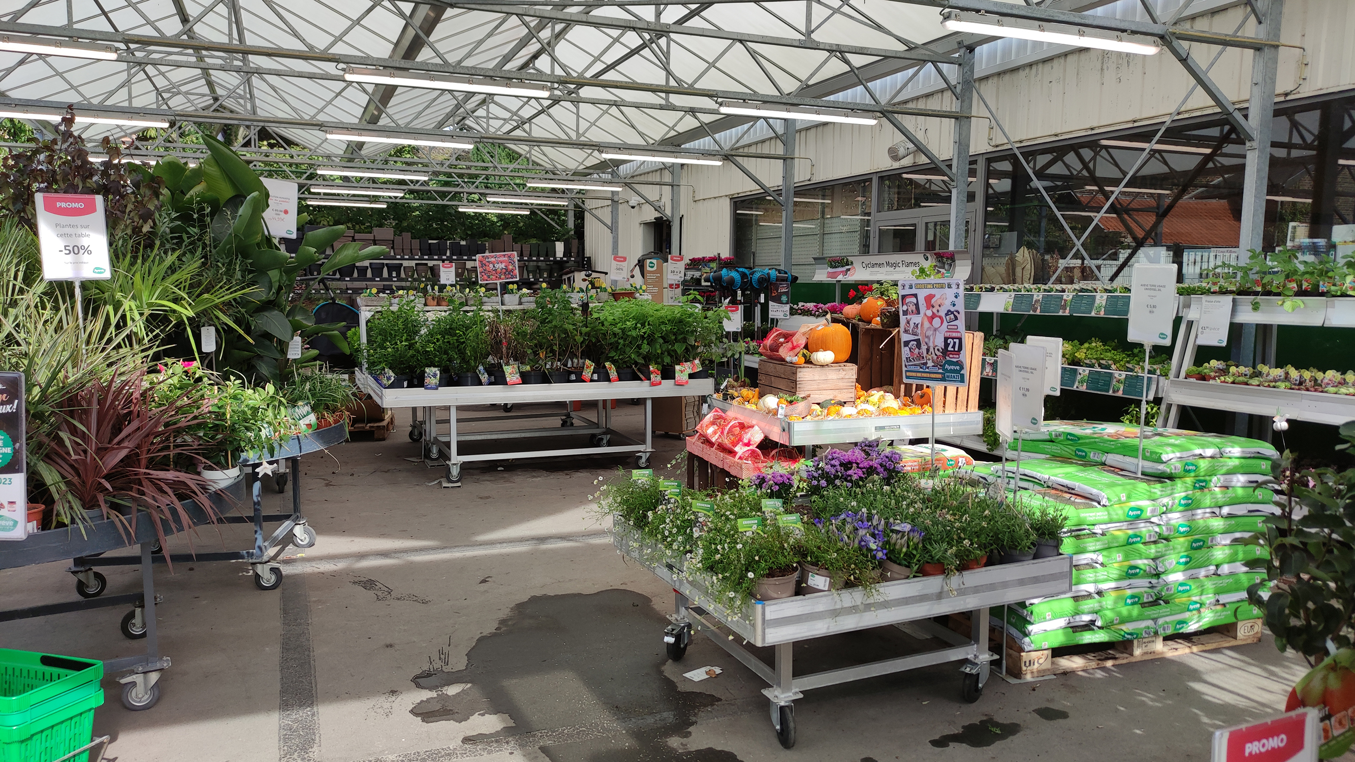 Aveve_winkel_Wanze_interior3