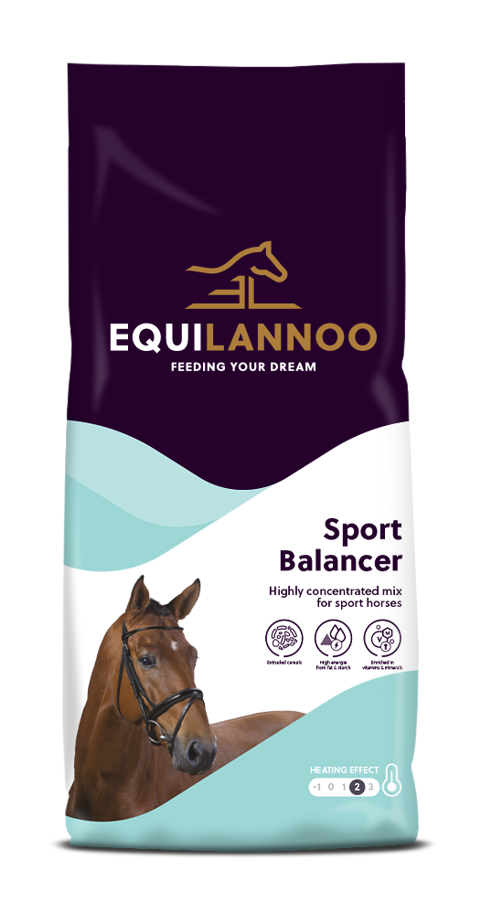 Sport Balancer packshot