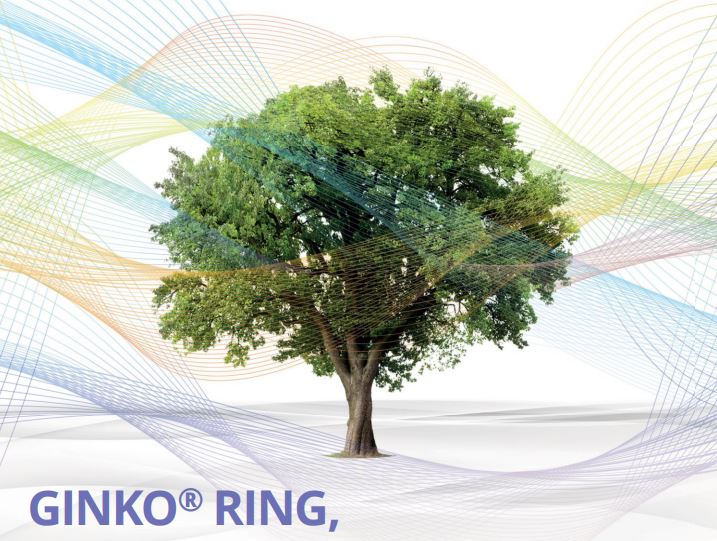 Ginko Ring