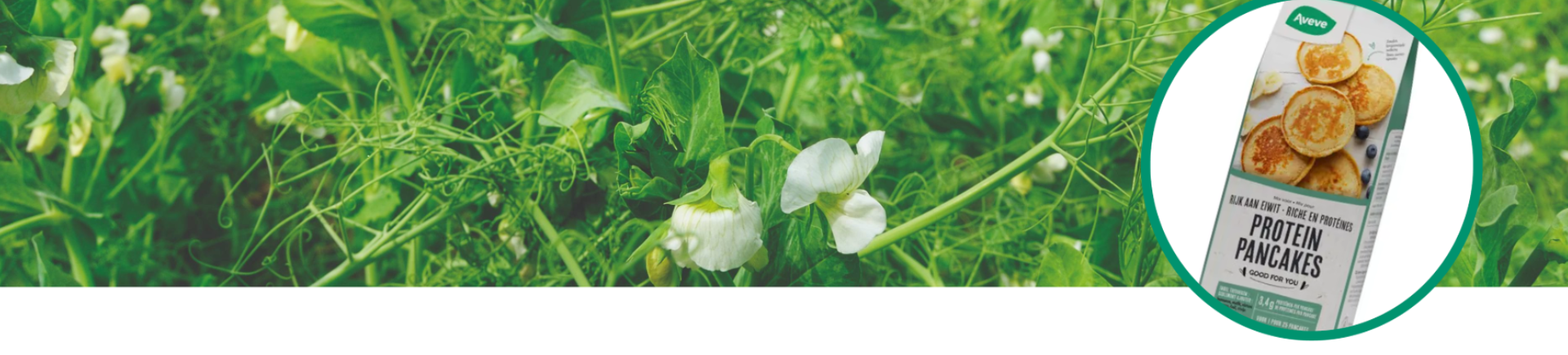 Van lokale eiwitteelt tot een toegankelijk voedingsproduct