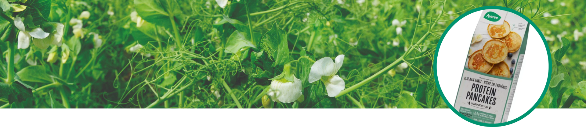 Van lokale eiwitteelt tot een toegankelijk voedingsproduct 