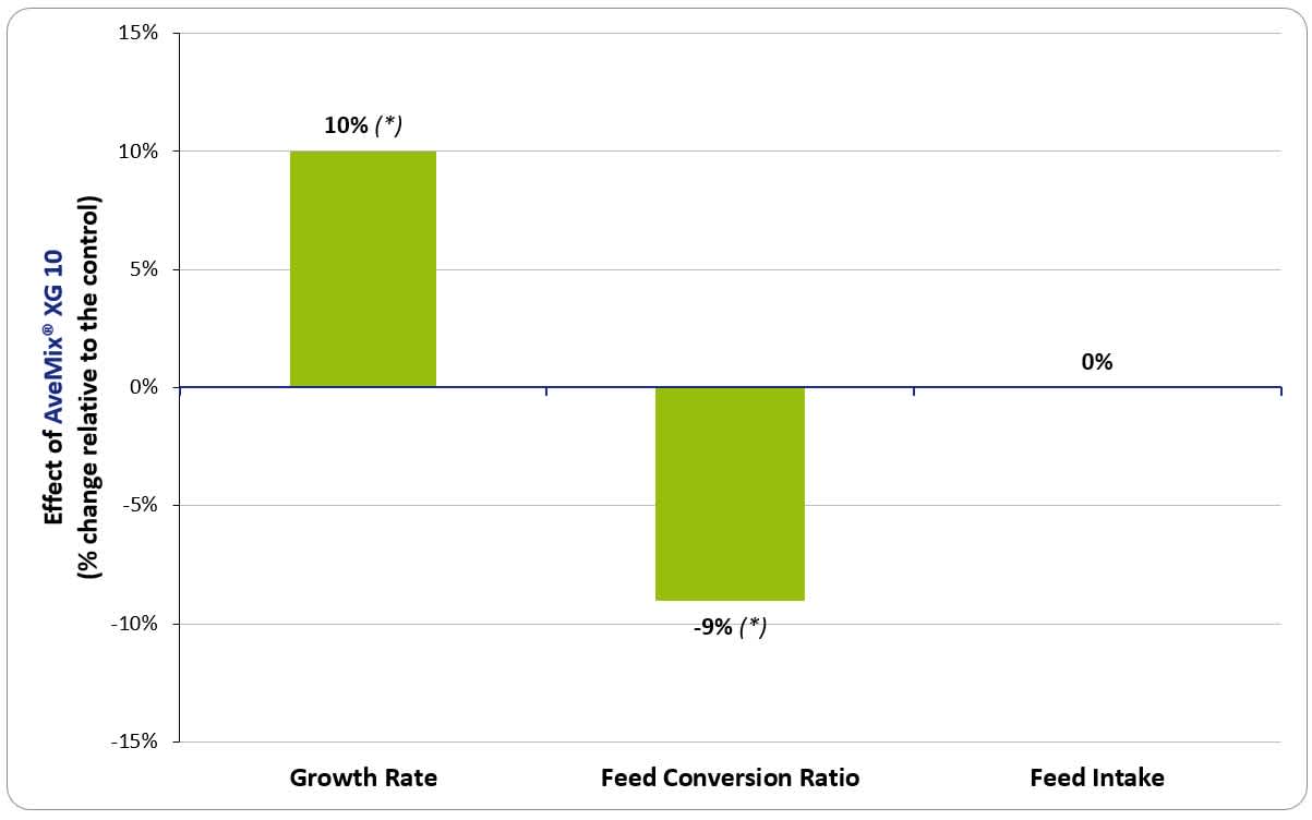 AveMix XG10 - Figure 1 - 12/2021