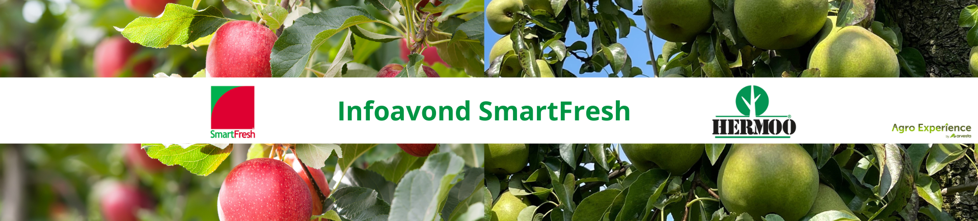 banner infoavond SmartFresh 2024
