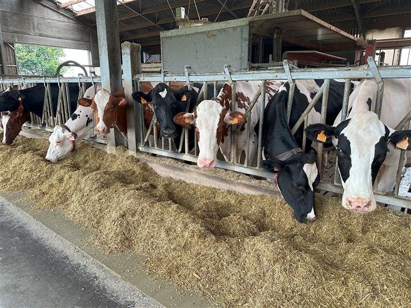 01.09.2025_NIeuwsbrief_AN_vlog ruwvoer