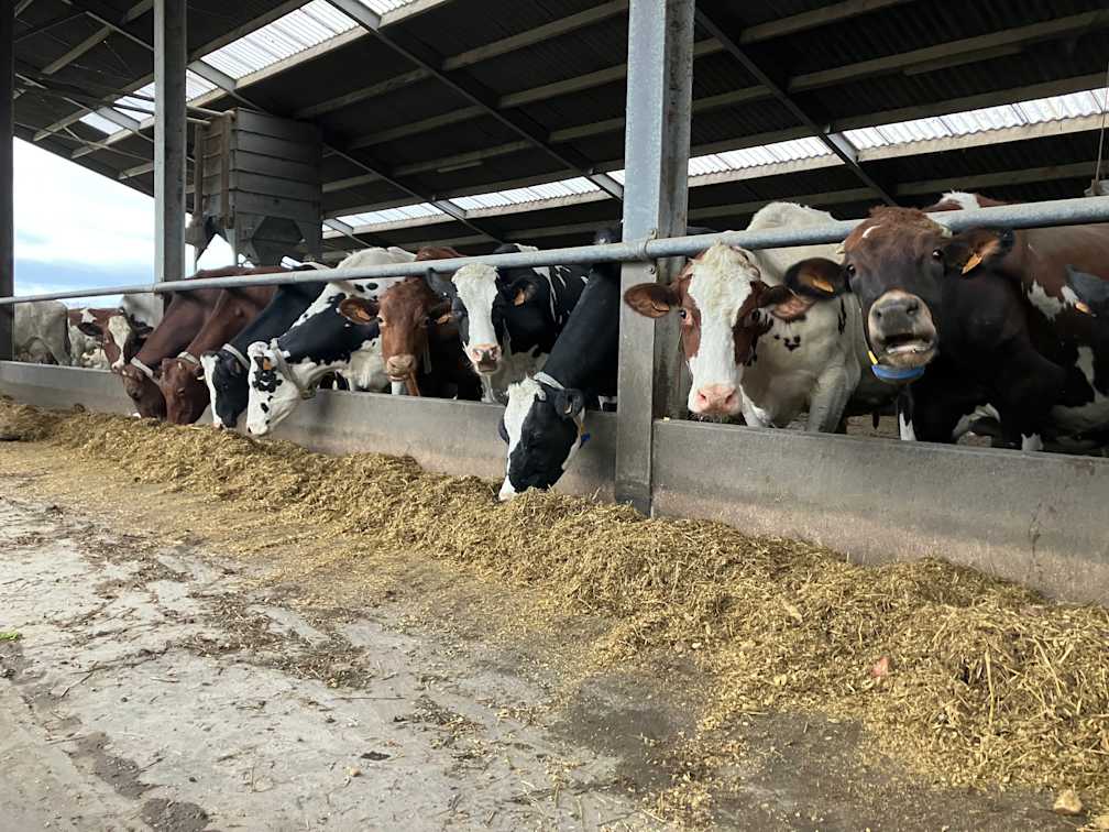 13.02.2025_AN_Nieuwsbrief_WERKEN AAN WEERSTAND