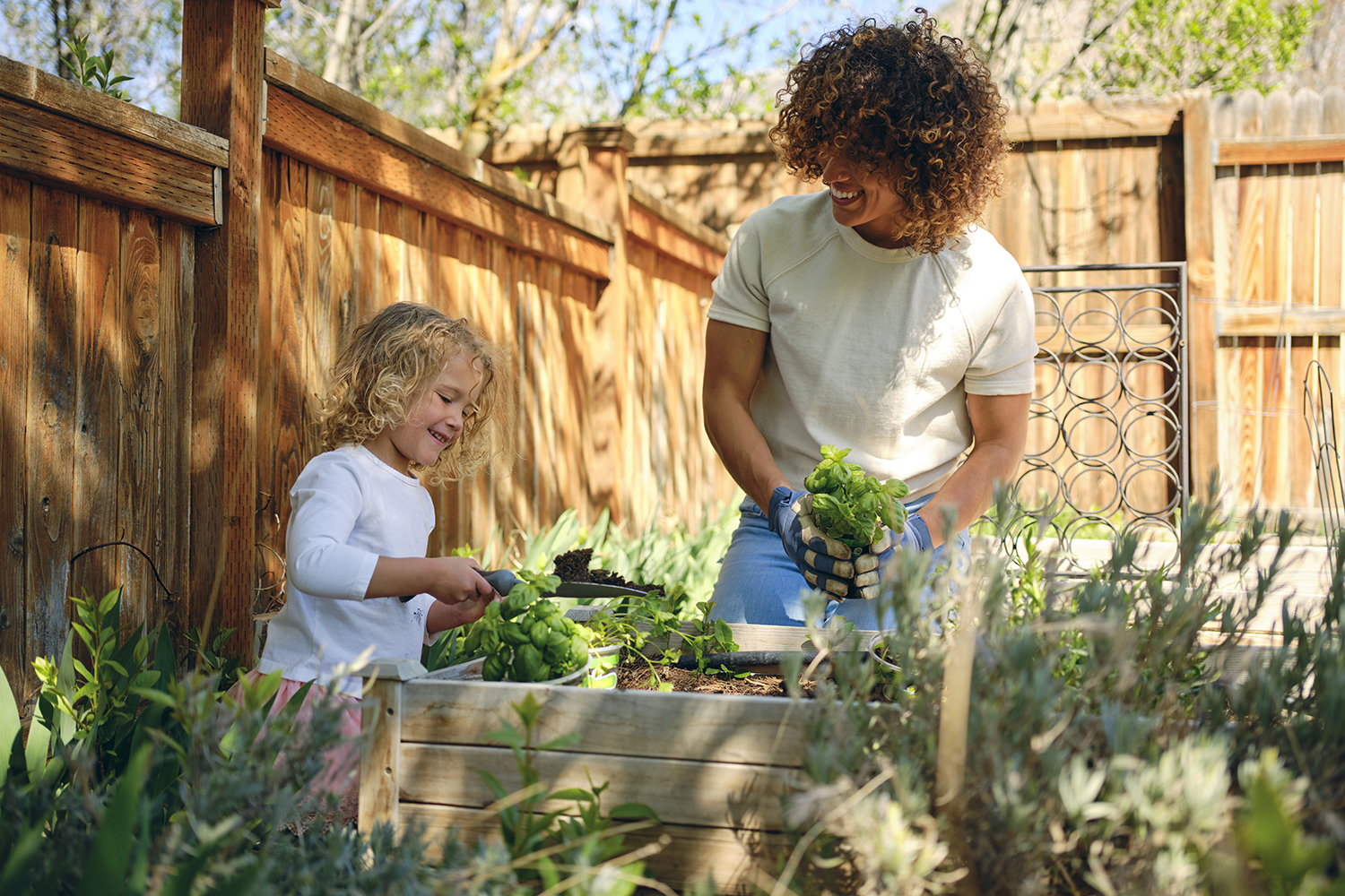 Démarrer un carré potager - Aveve