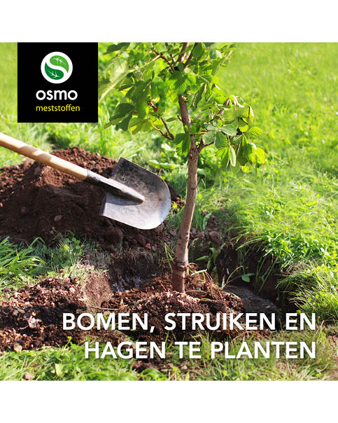 Bomen planten