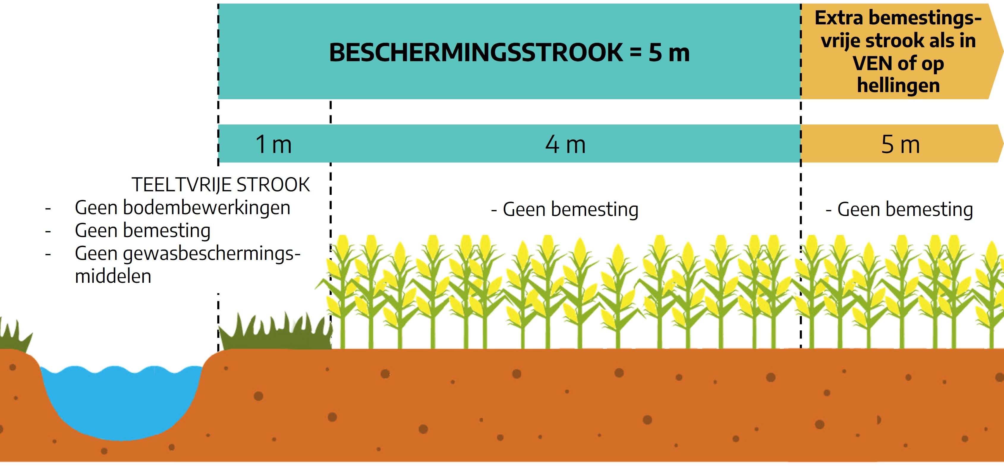 25.02.2026_Nieuwsbrief AH_Beheer van jouw beschermingsstrook RTS1