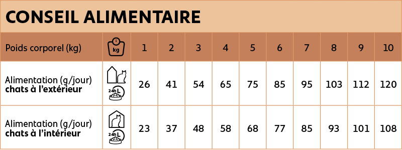 Voedingsadvies new feline adult zalm