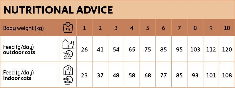 Voedingsadvies new feline adult zalm