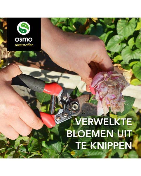 Verwelkte bloemen