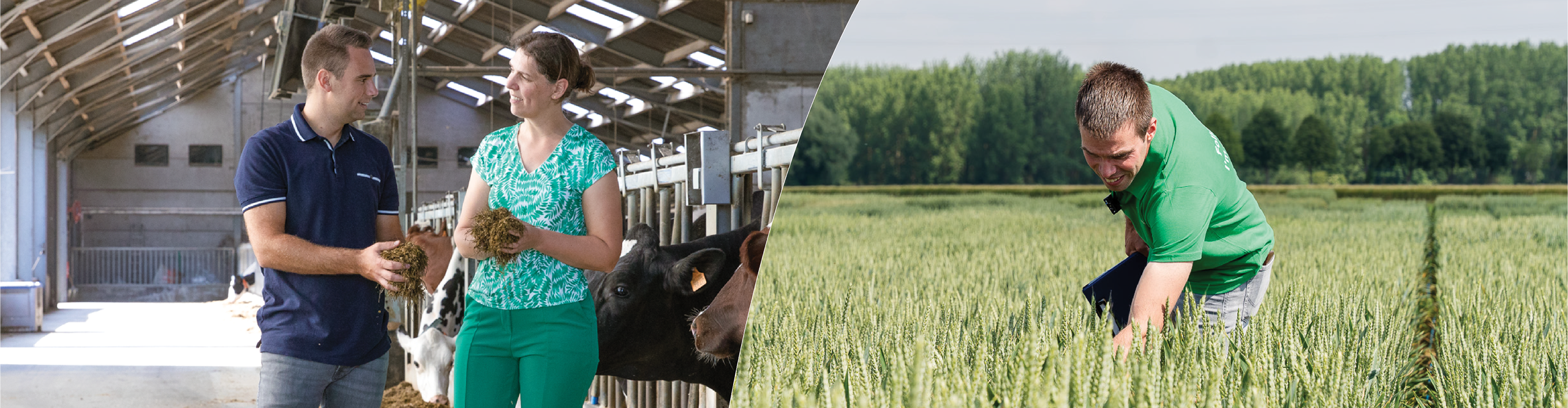 Aveve Agrarisch Homepage banner 1920x500px