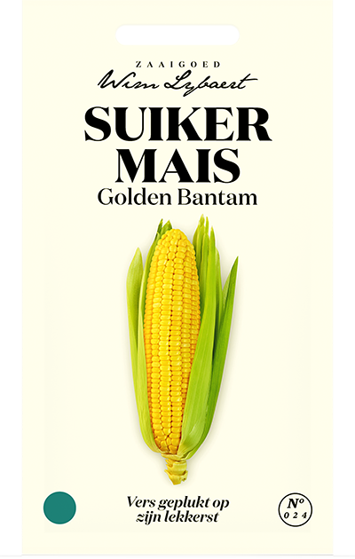 Suikermaïs