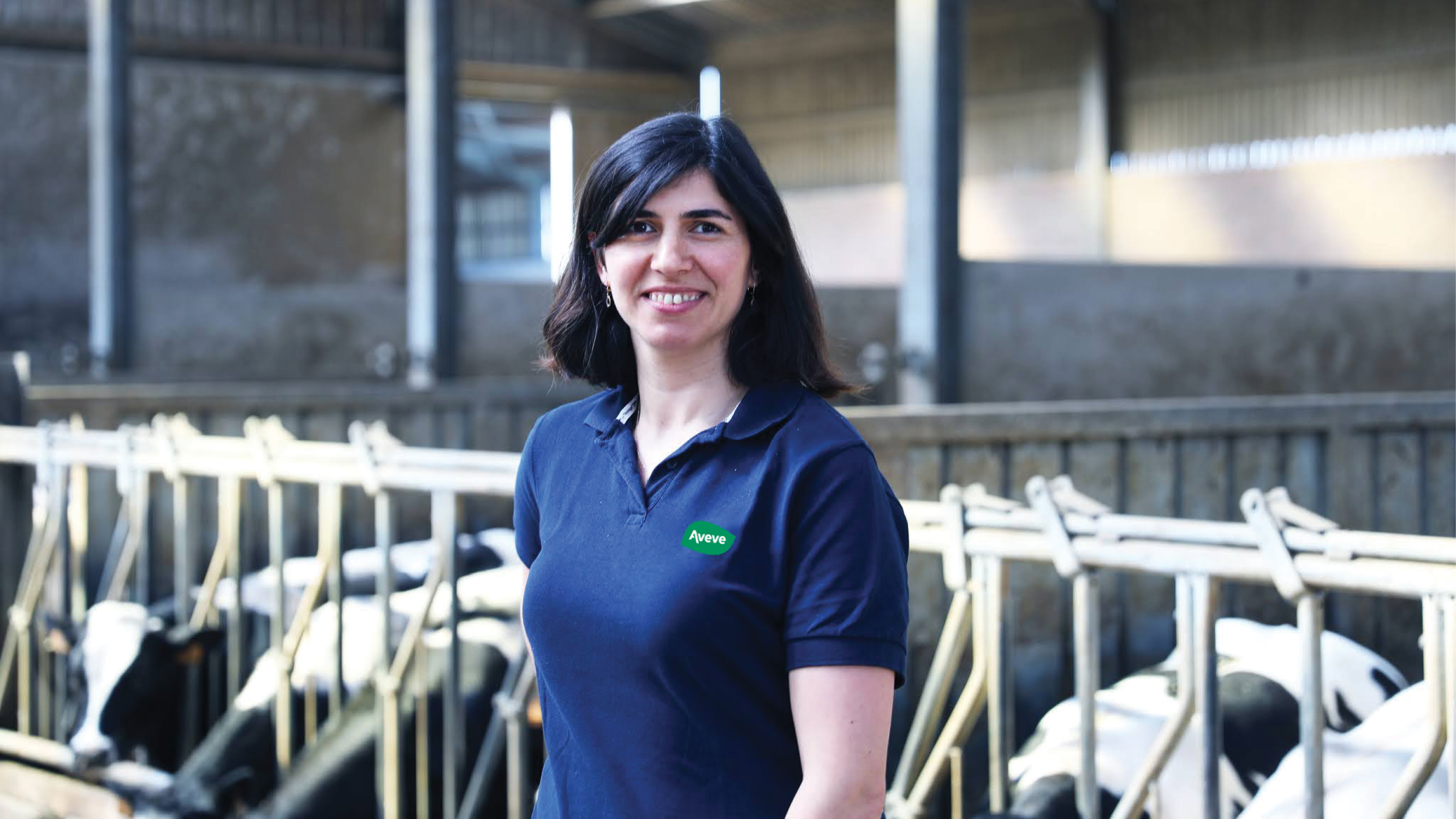 Wil je hier meer over weten?