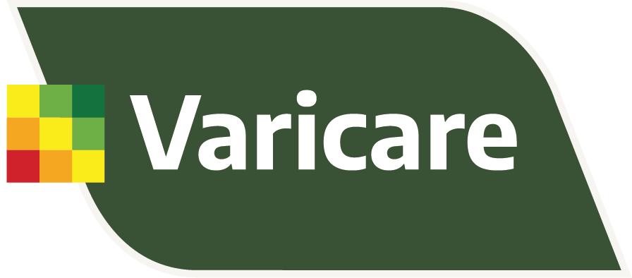 Patch Varicare