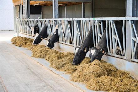 30.05.2025_Nieuwsbrief_AN_Stress thermique