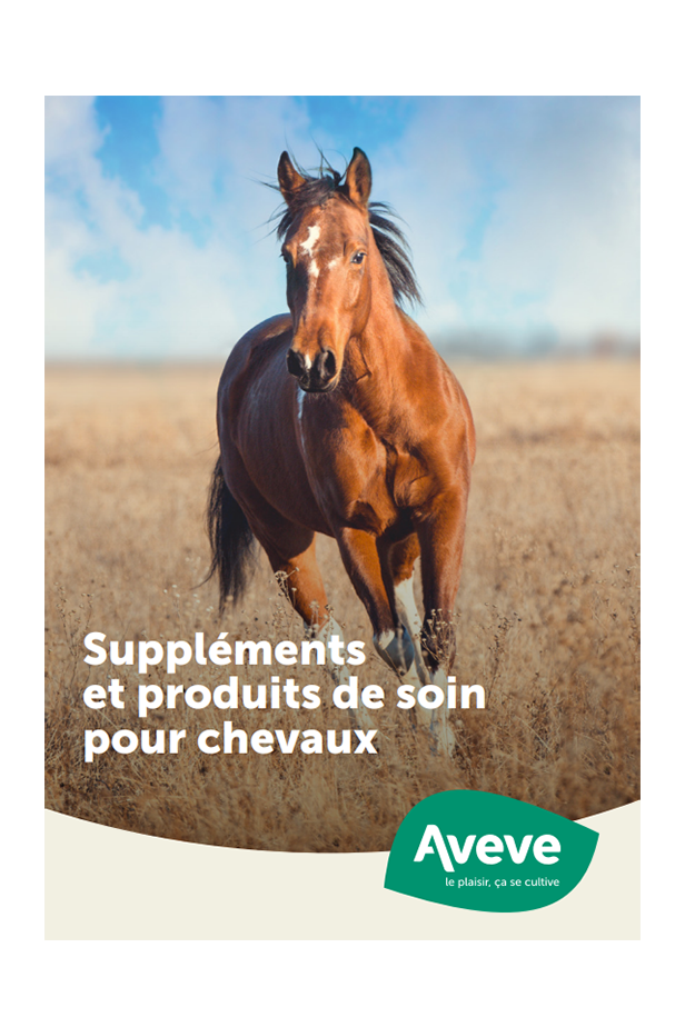 Content card Gids paardensupplementen