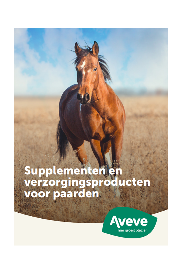 Content card Gids paardensupplementen